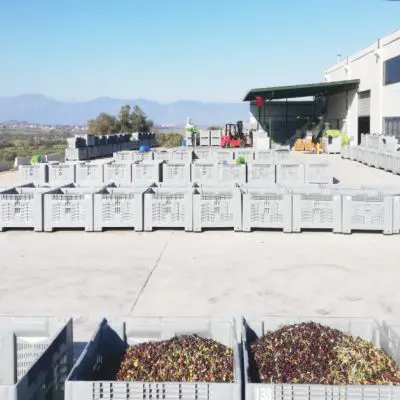 Follow Uzakköy on Instagram